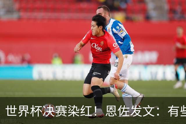 世界杯决赛染红！恩佐发文：有些东西远比结果更重要