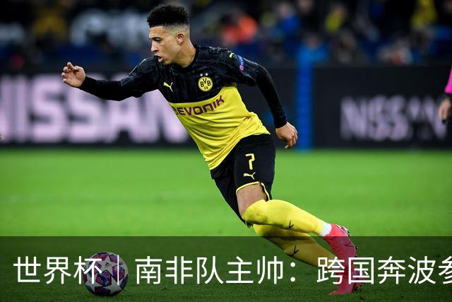 世界杯｜南非队主帅：跨国奔波参赛“令人非常疲惫”