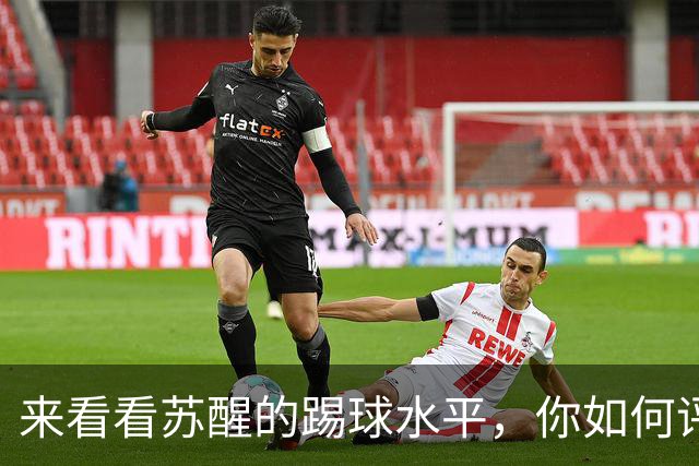来看看苏醒的踢球水平，你如何评价？