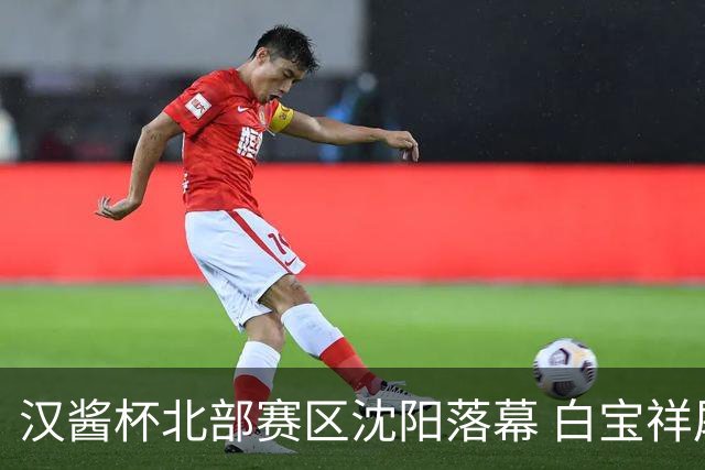 汉酱杯北部赛区沈阳落幕 白宝祥屠嘉瑞崔欣获各组冠军