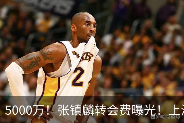 5000万！张镇麟转会费曝光！上海队封神级大交易